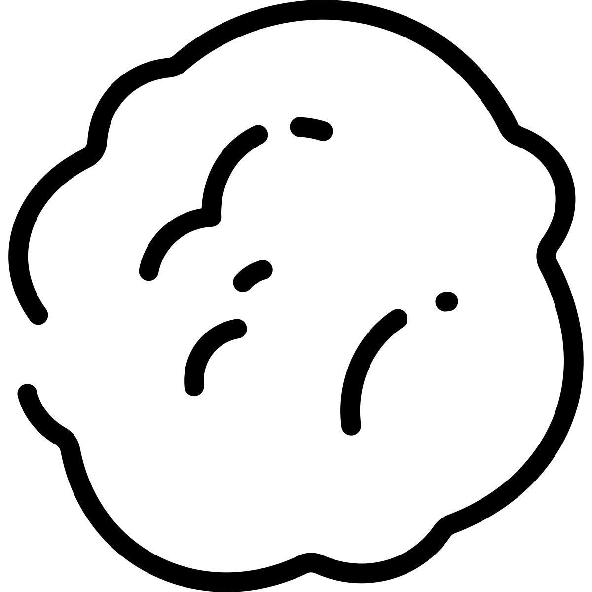 snowball icon