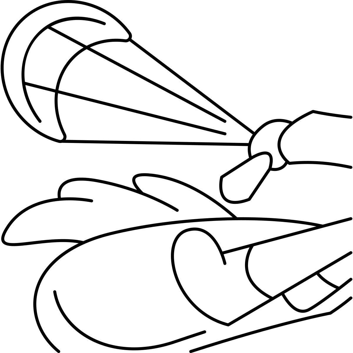 snowkite icon