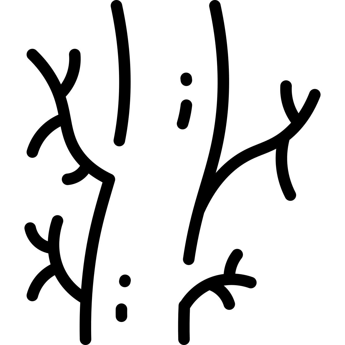 veins icon