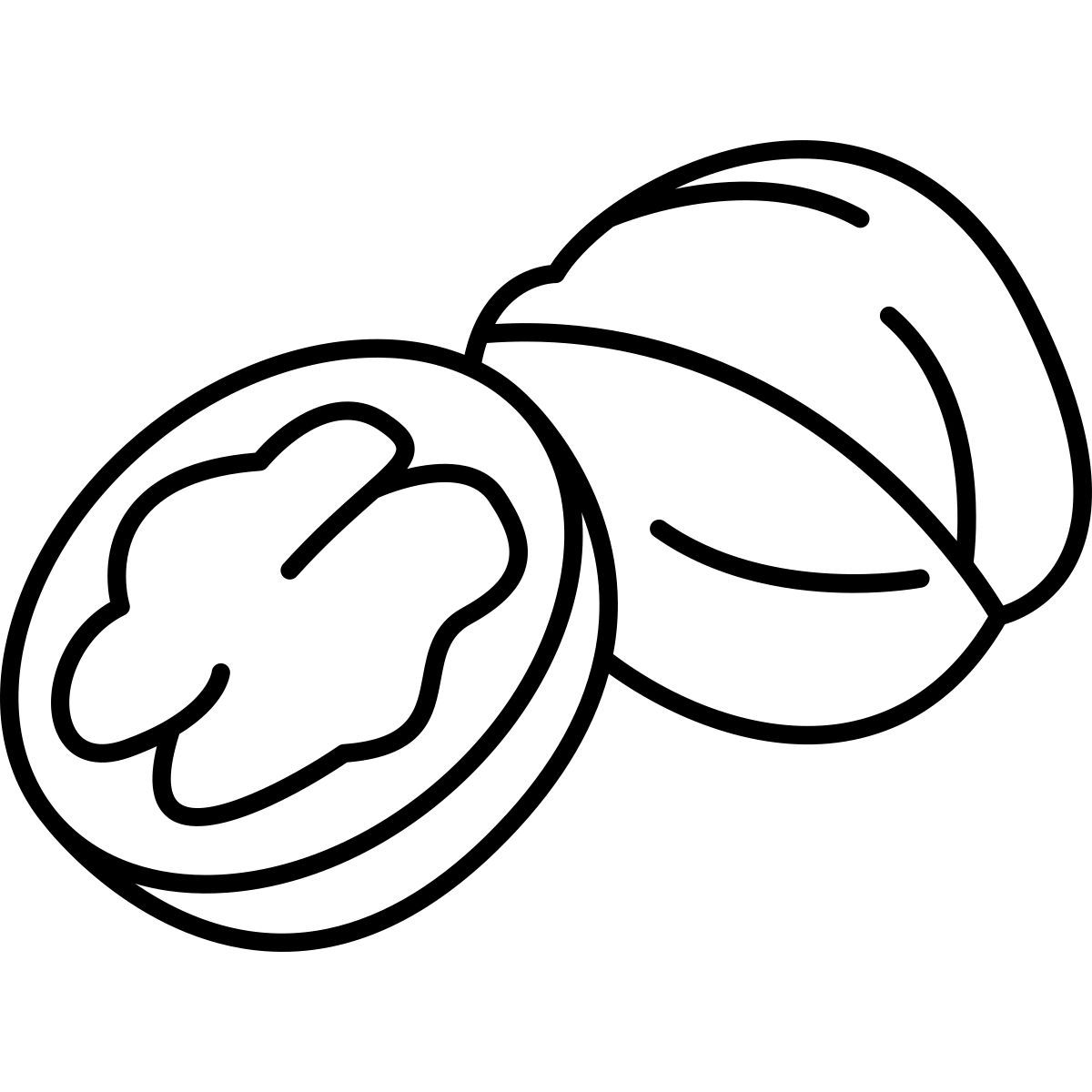 nussbaum icon