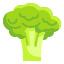 external broccoli-fruits-and-vegetables-wanicon-flat-wanicon icon