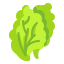 external lettuce-fruits-and-vegetables-wanicon-flat-wanicon icon