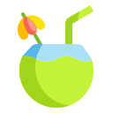 external coconut-drink-wanicon-flat-wanicon icon