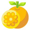 external orange-fruits-and-vegetables-wanicon-flat-wanicon icon