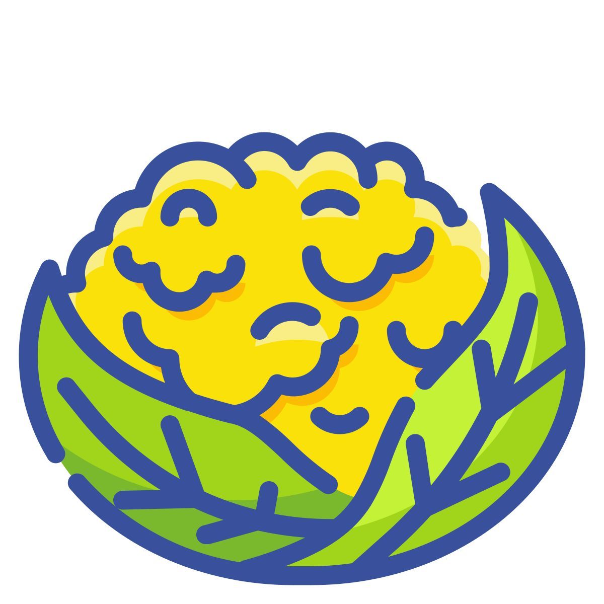 콜리 플라워 icon