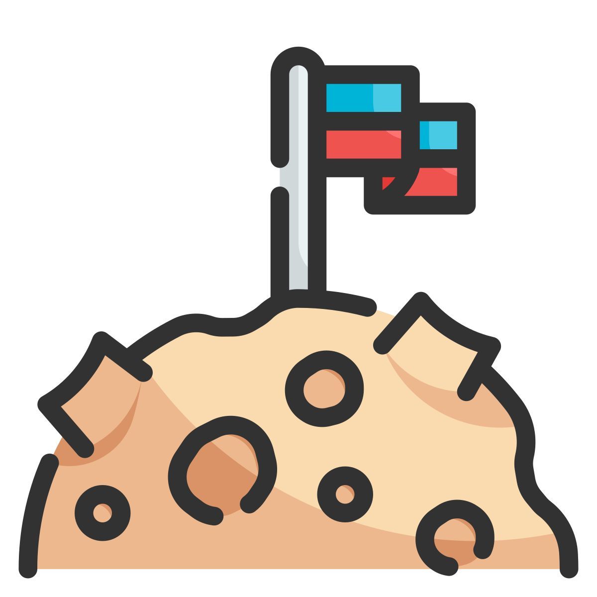 flag icon