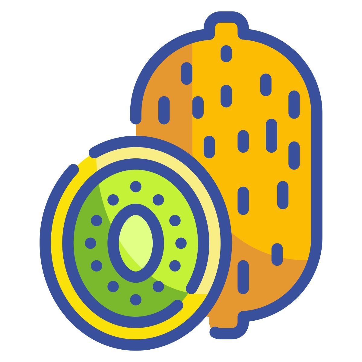 kiwi icon