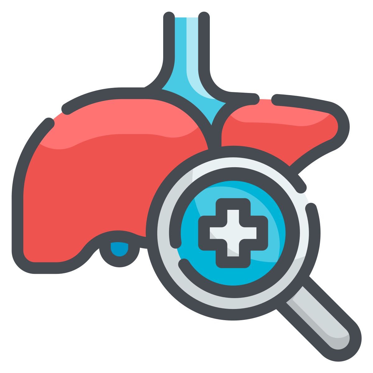 liver icon