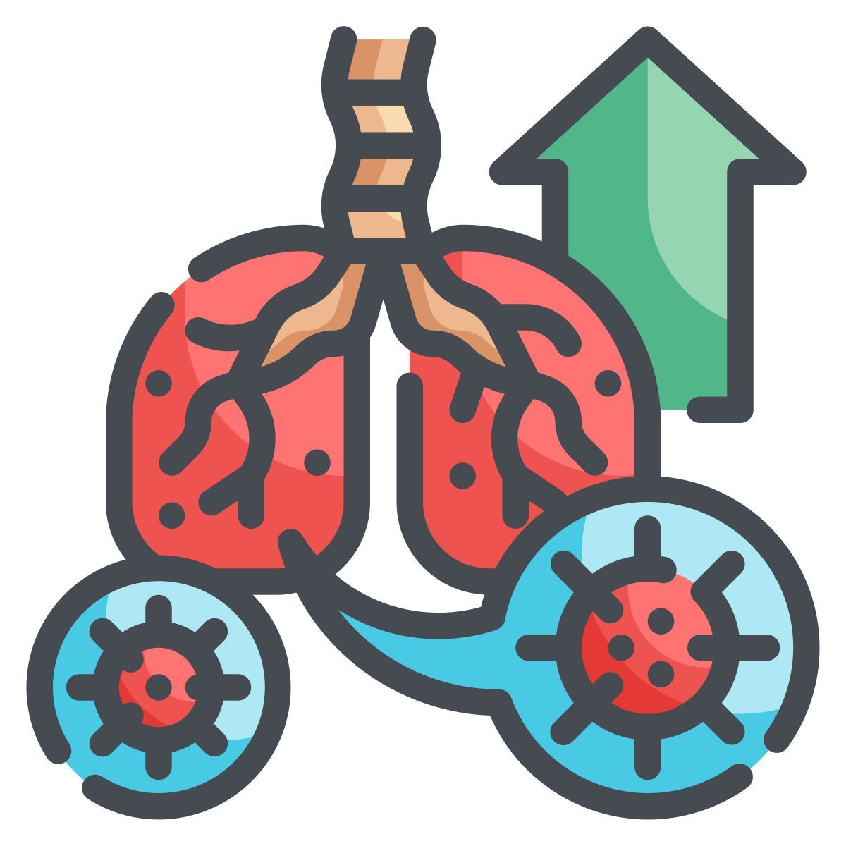 lung icon