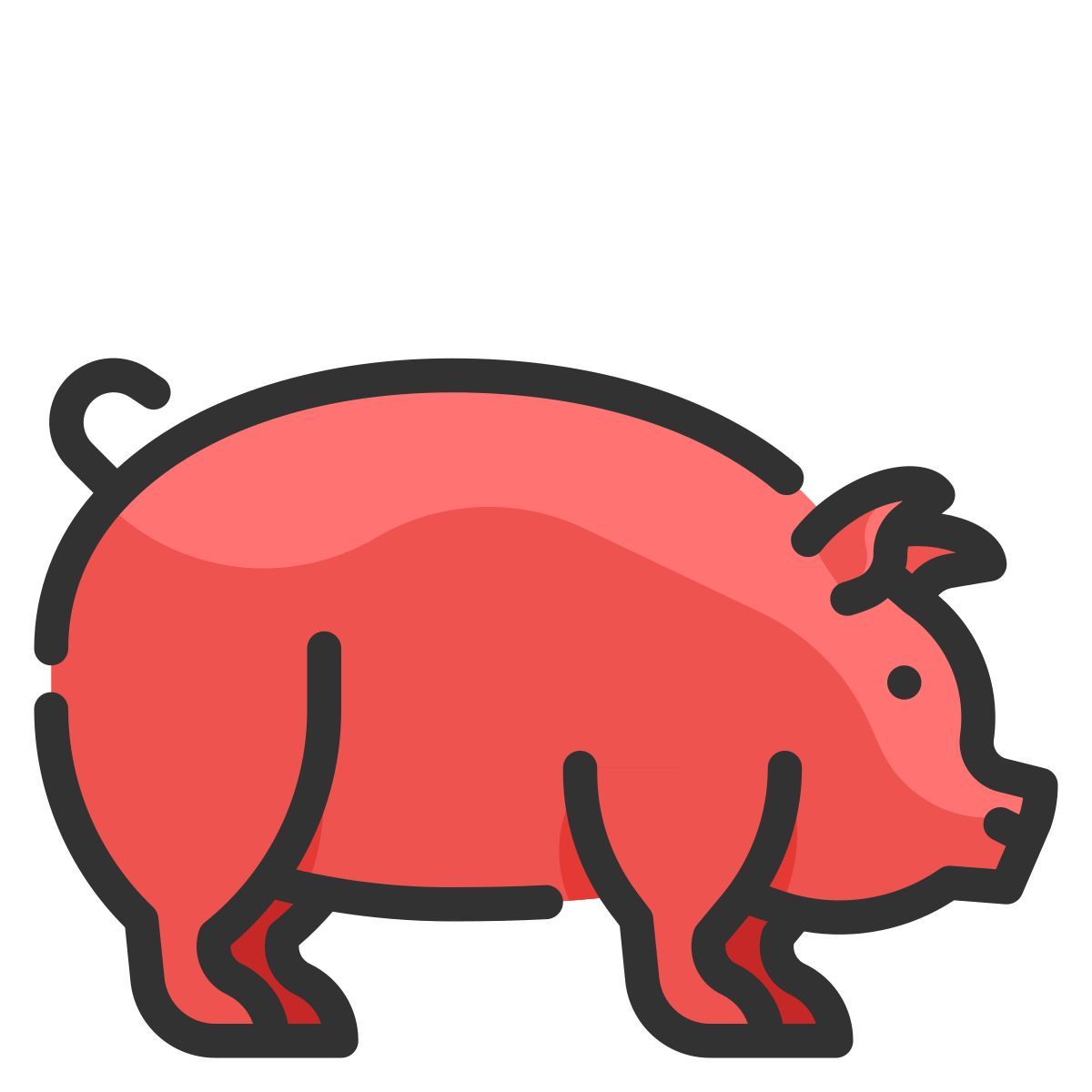 pig icon
