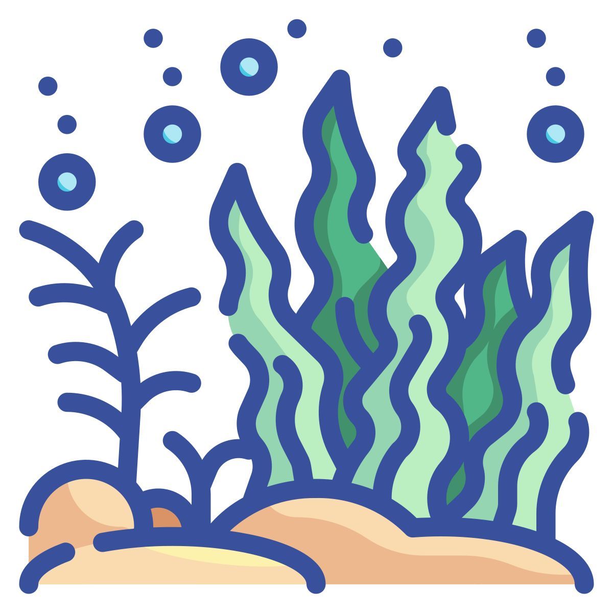 seaweed icon