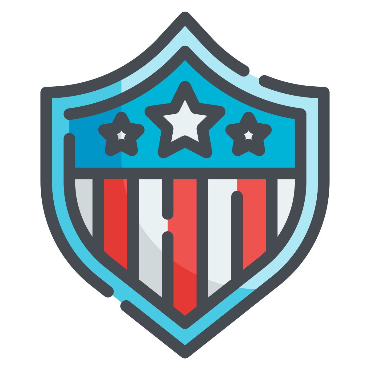 shield icon