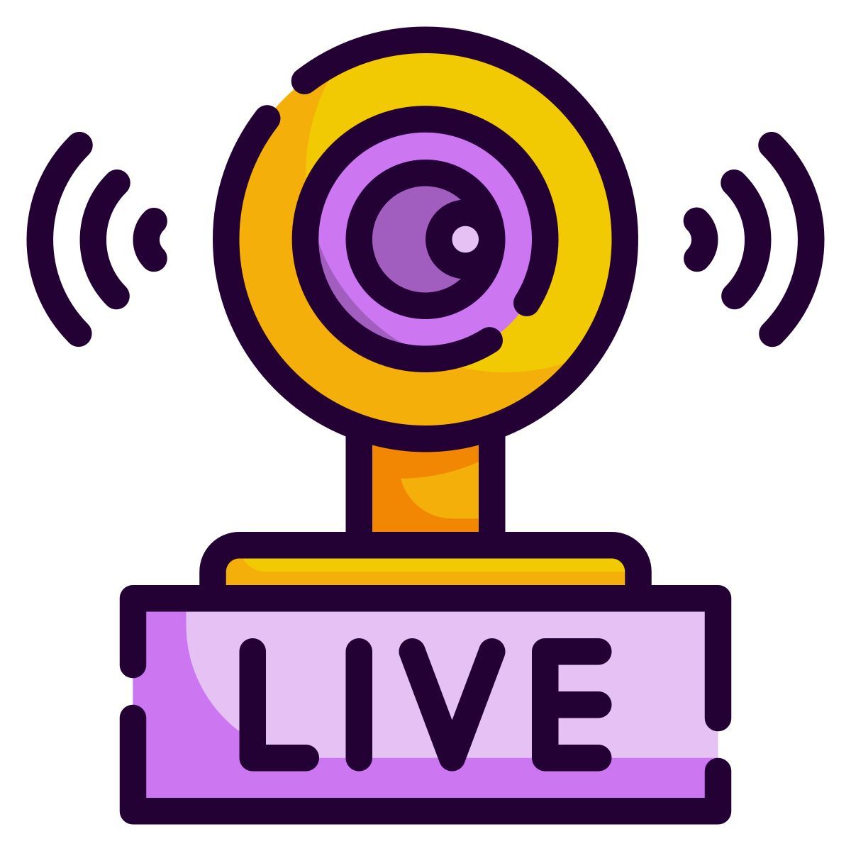 webcam icon
