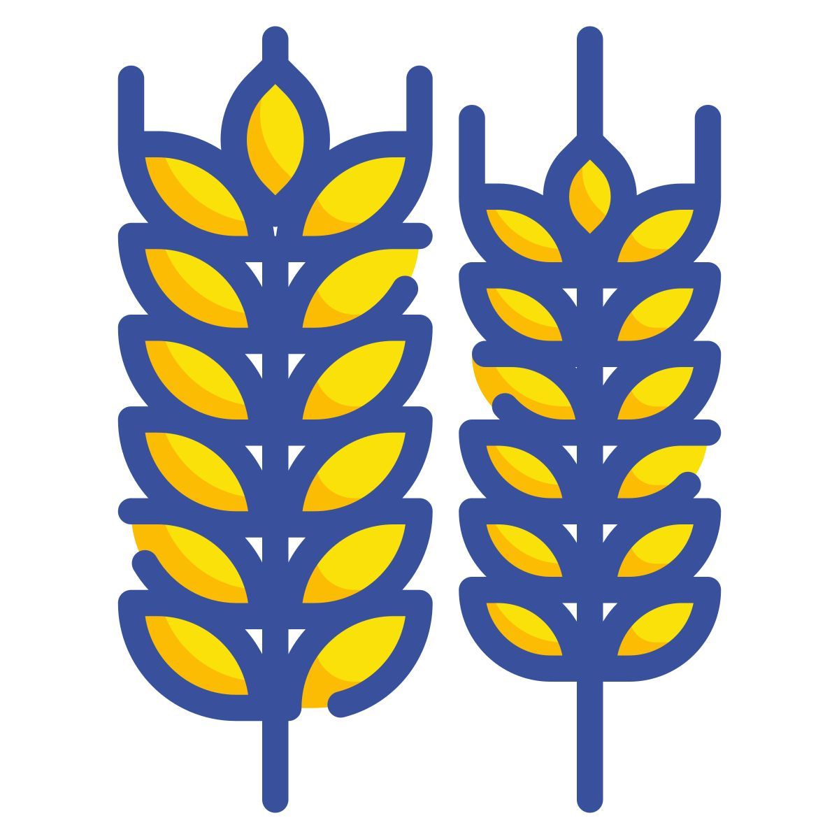 wheat icon
