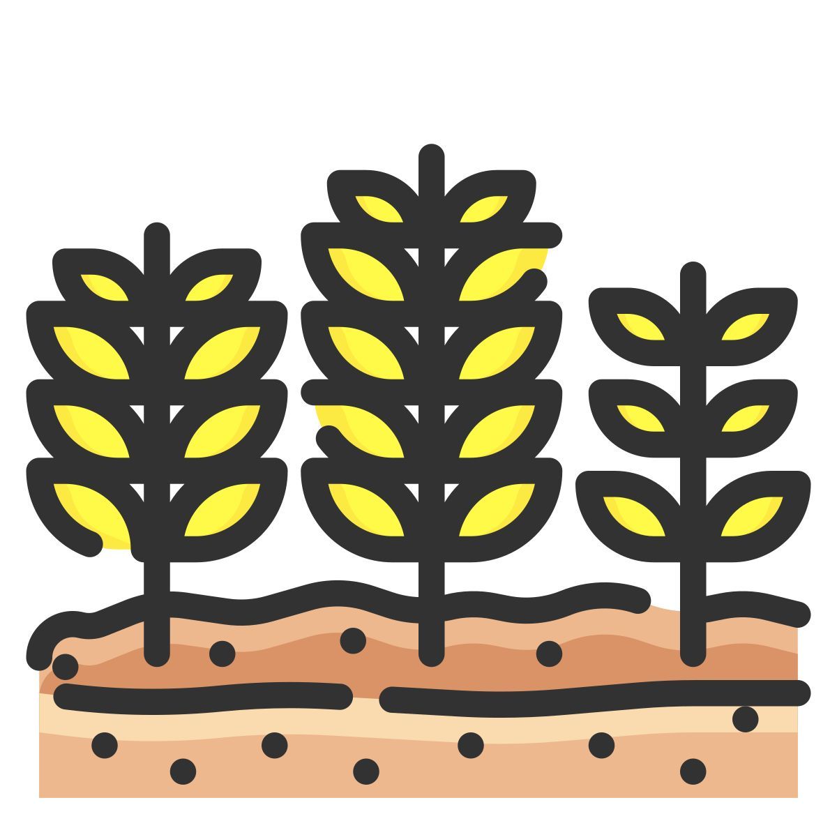 wheat icon