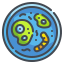 external bacteria-laboratory-wanicon-lineal-color-wanicon icon