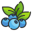 external berries-thanksgiving-wanicon-lineal-color-wanicon icon