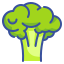 external broccoli-fruits-and-vegetables-wanicon-lineal-color-wanicon icon