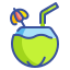 external coconut-drink-wanicon-lineal-color-wanicon icon