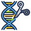 external genetic-engineering-medical-technology-wanicon-lineal-color-wanicon icon