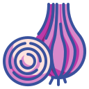 external onion-fruits-and-vegetables-wanicon-lineal-color-wanicon icon