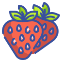 external strawberry-fruits-and-vegetables-wanicon-lineal-color-wanicon icon