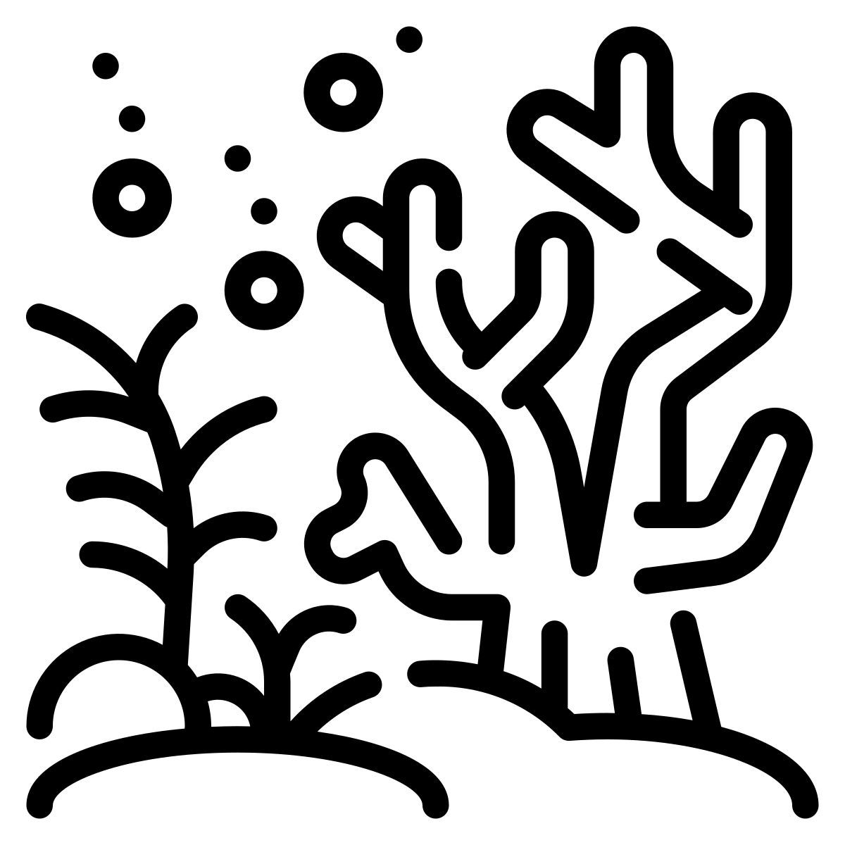 coral icon