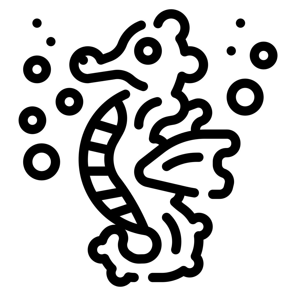 seahorse icon