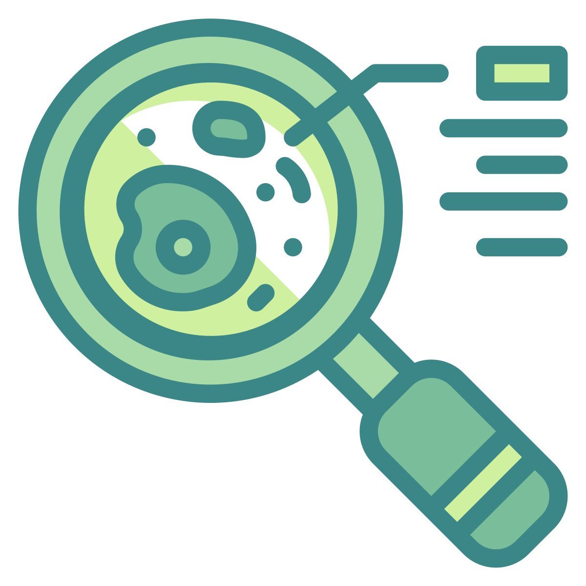 magnifier icon