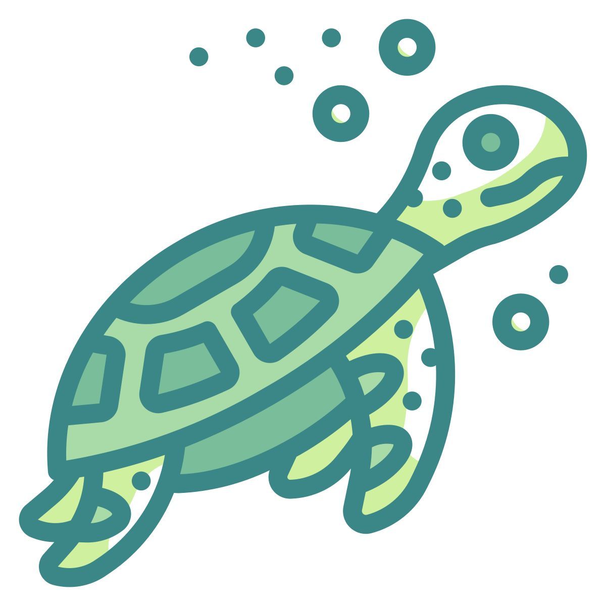 sea turtle icon