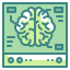 external brain-health-checkup-wanicon-two-tone-wanicon icon