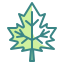 external maple-leaf-autumn-wanicon-two-tone-wanicon icon