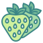 external strawberry-fruits-and-vegetables-wanicon-two-tone-wanicon icon