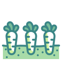 external carrots-farming-and-agriculture-wanicon-two-tone-wanicon icon
