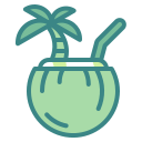 external coconut-beach-wanicon-two-tone-wanicon icon