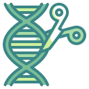 external genetic-engineering-medical-technology-wanicon-two-tone-wanicon icon