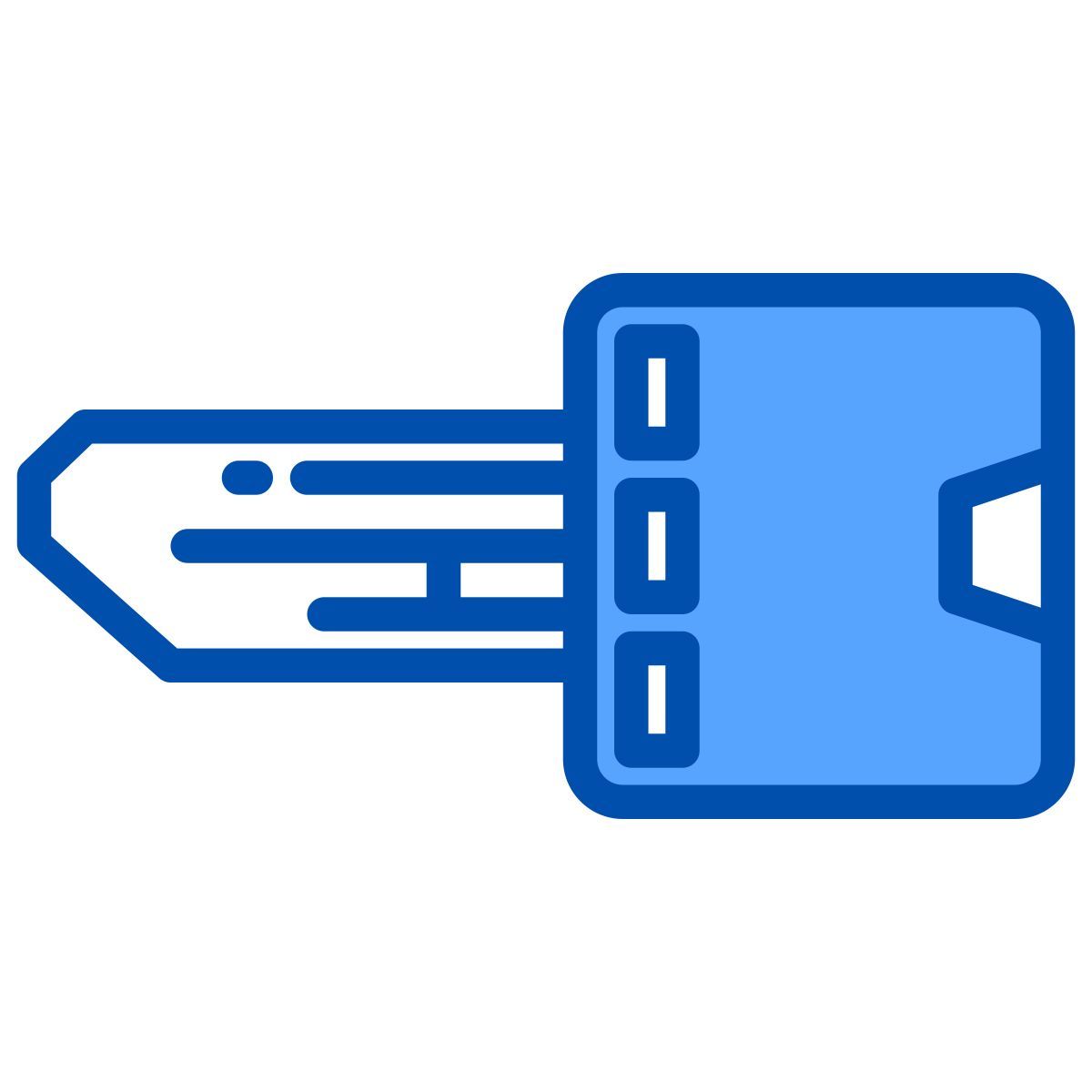 smart key icon