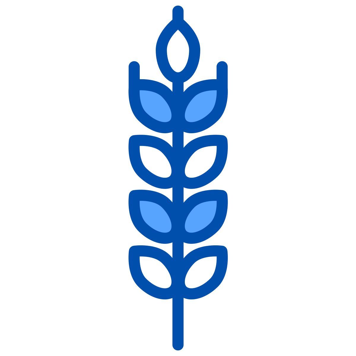 小麦 icon