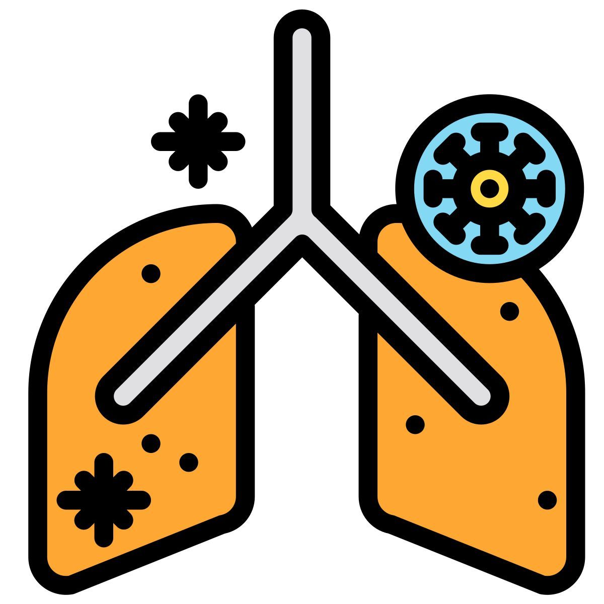 anatomy icon