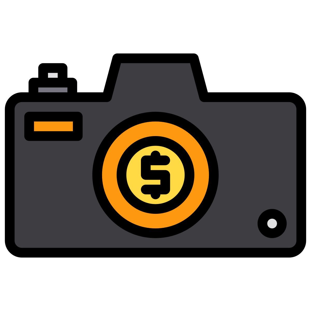 photography icon