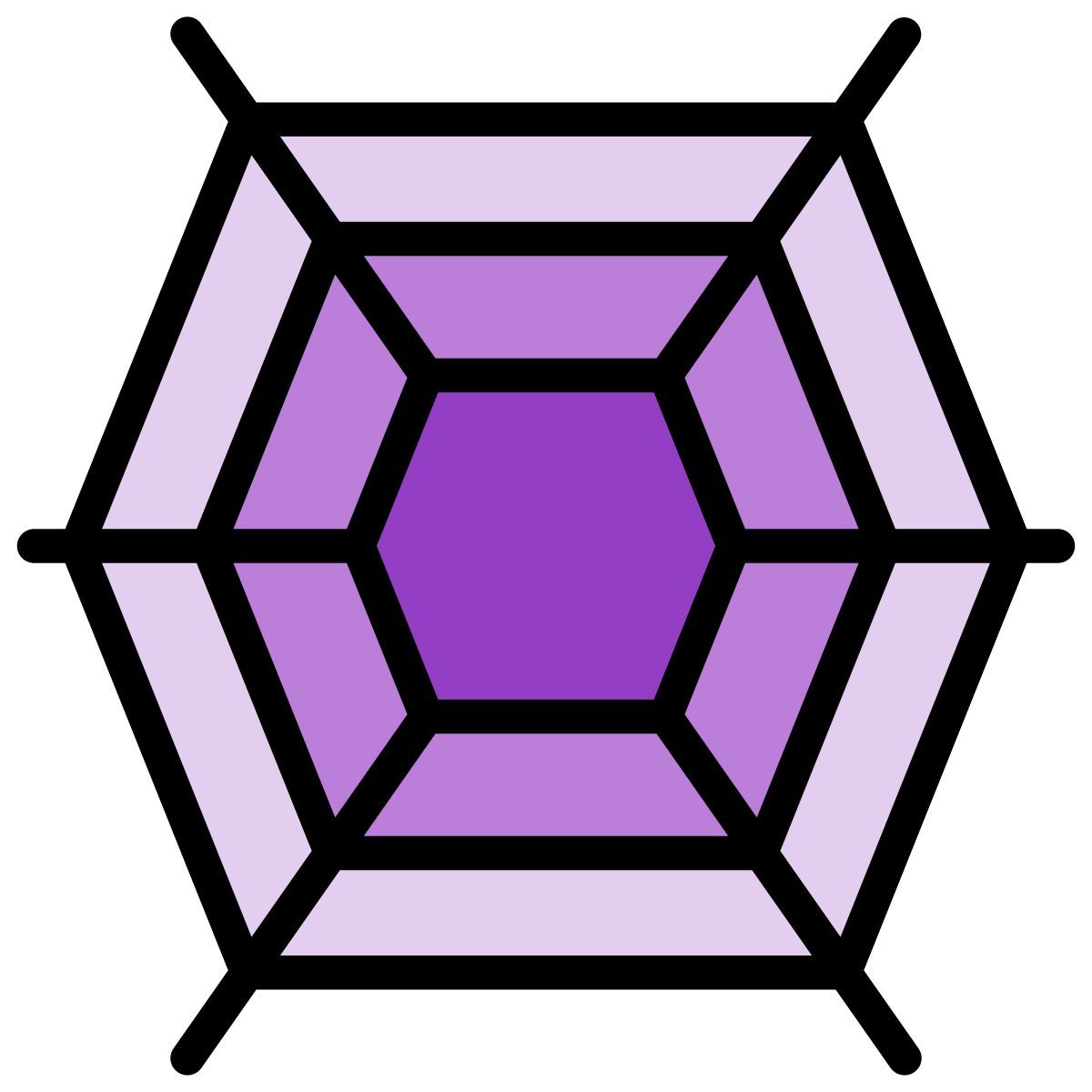 spider web icon