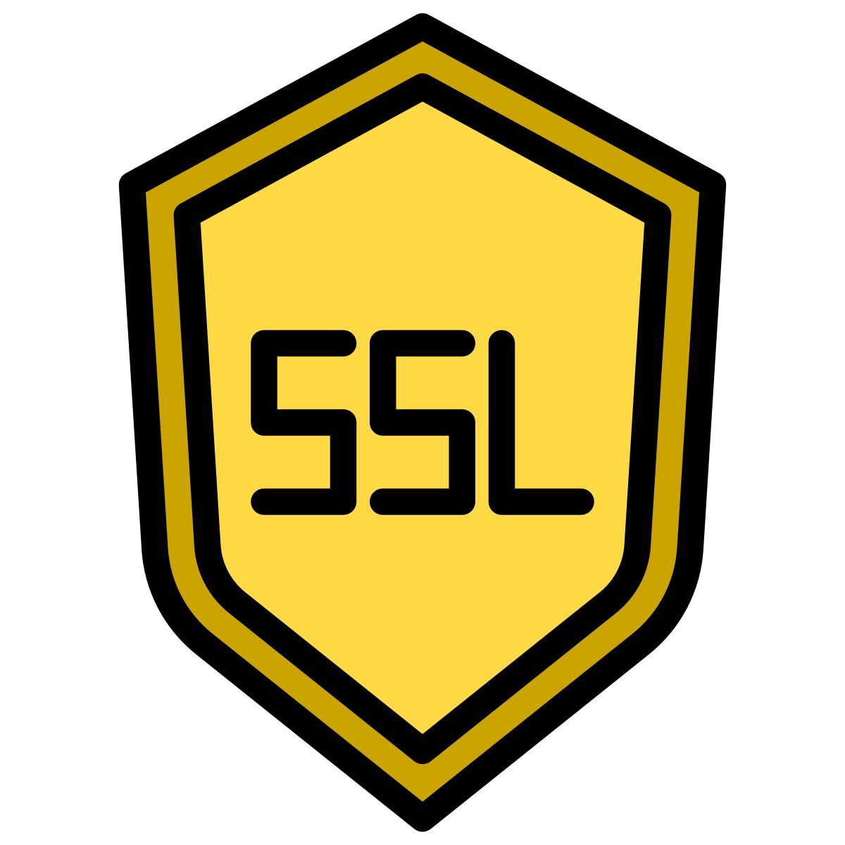 ssl icon