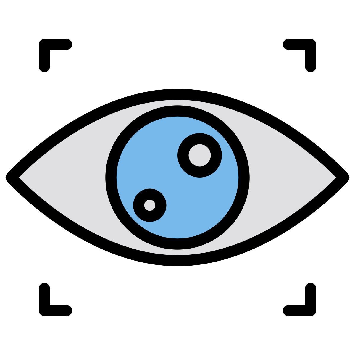 vision icon