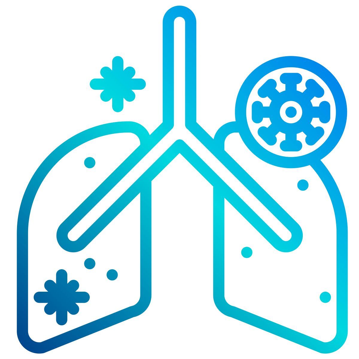 anatomy icon