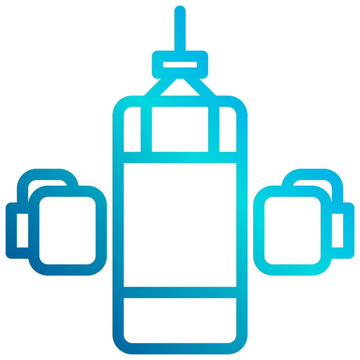 punching bag icon