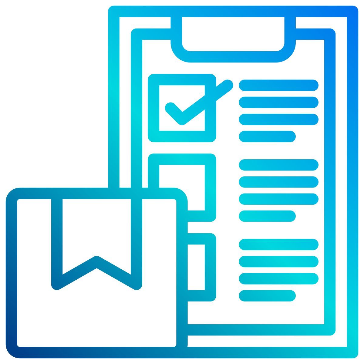 lista di controllo icon