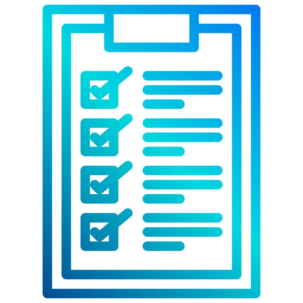 lista di controllo icon