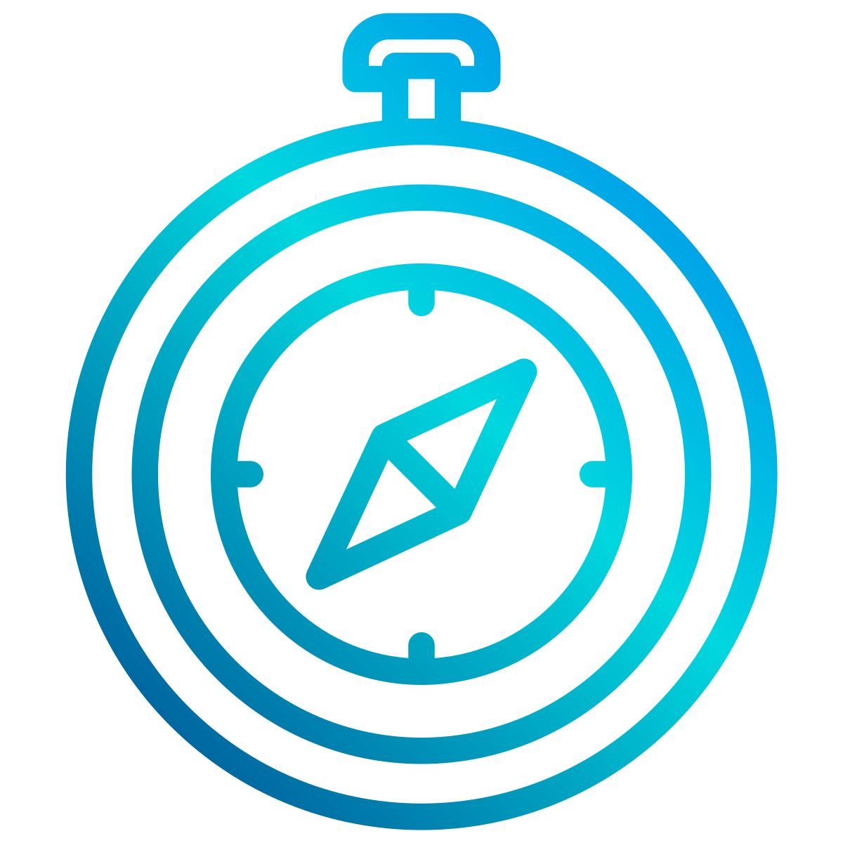 bussola icon