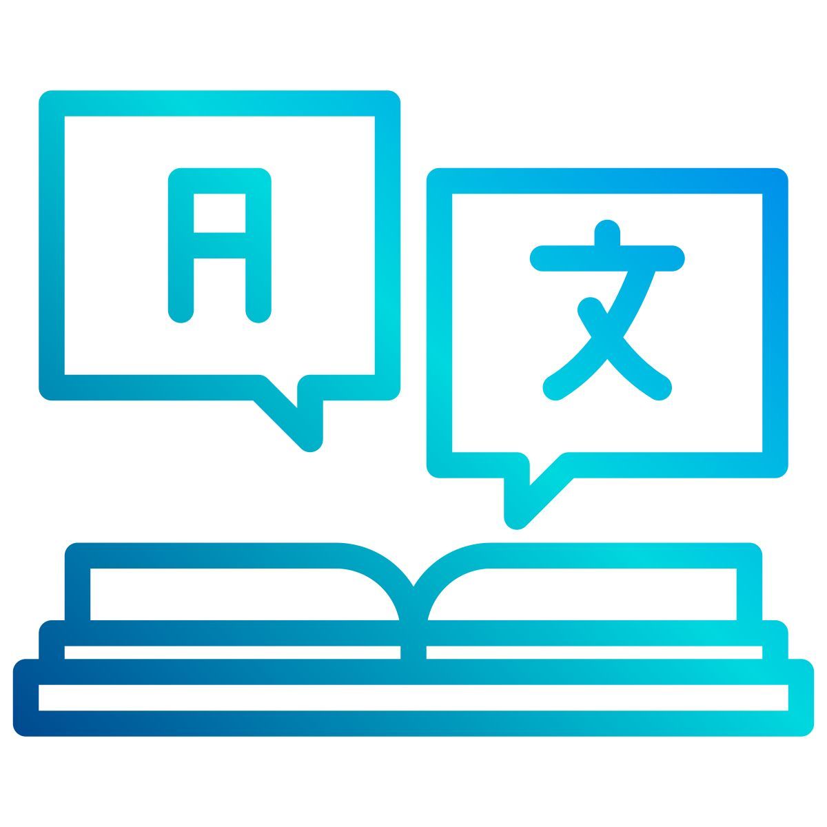 字典 icon