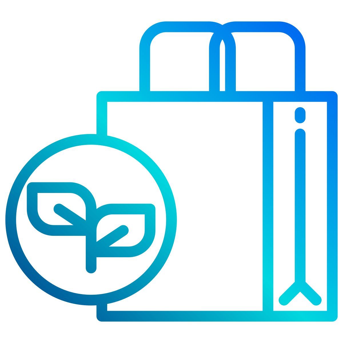 eco bag icon